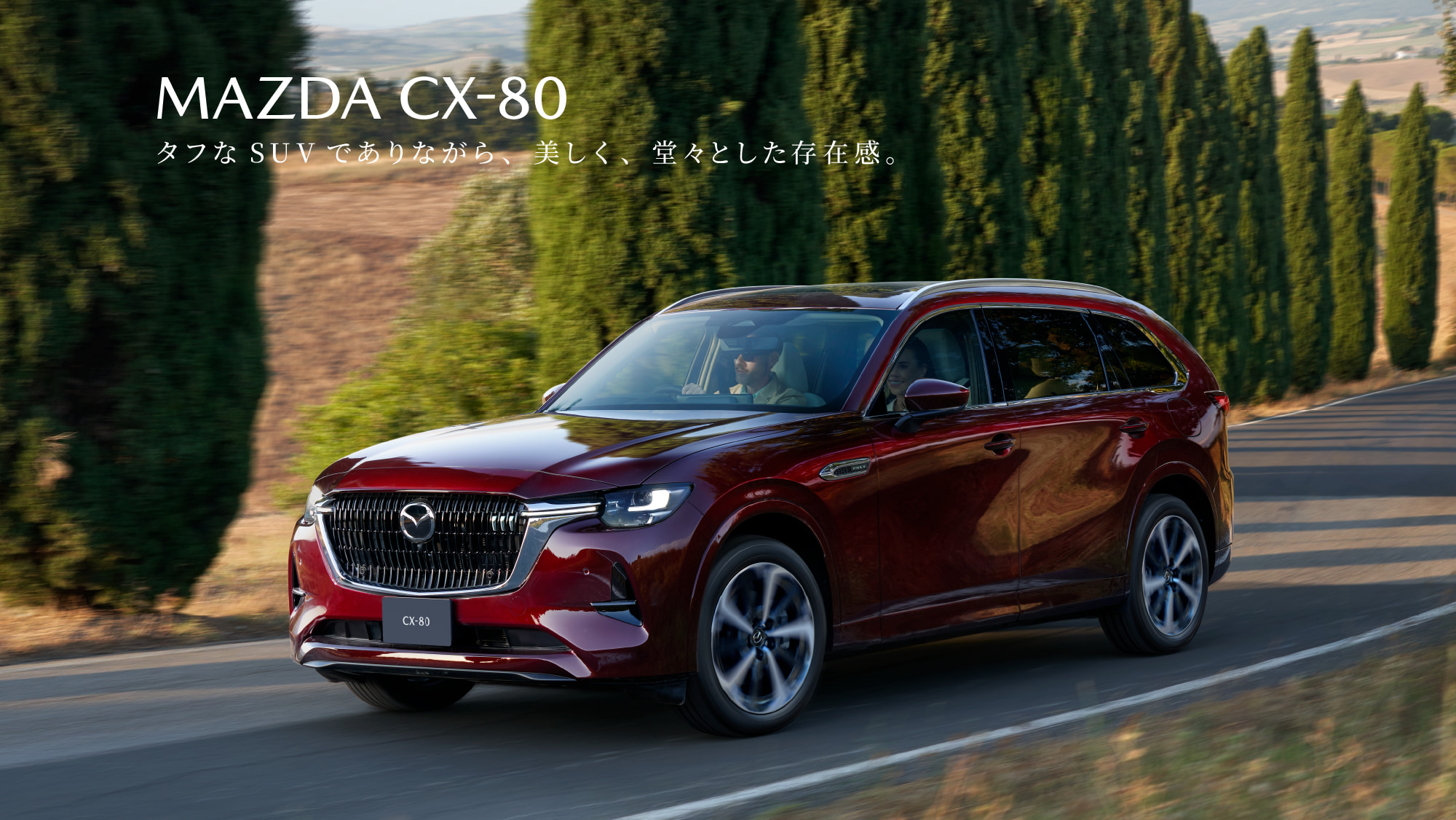 CX-80